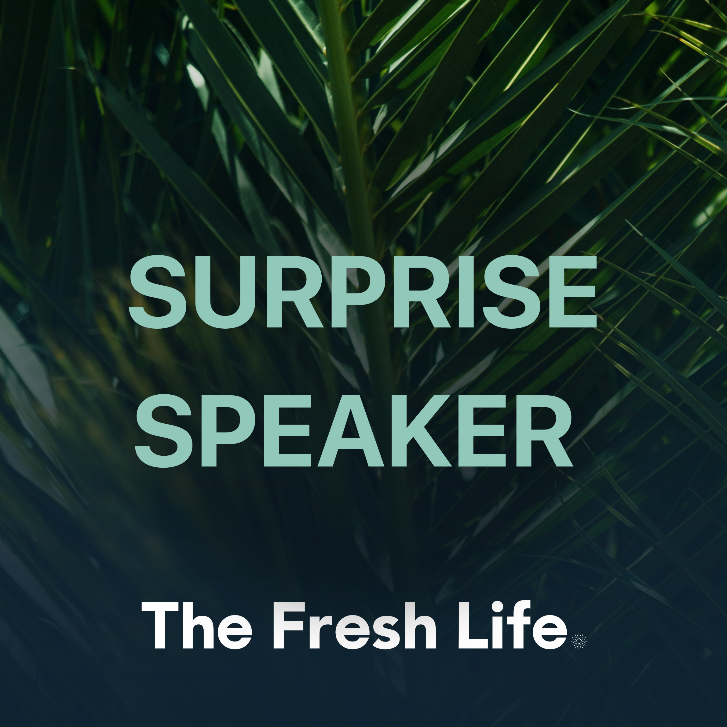 SURPRISE SPEAKER